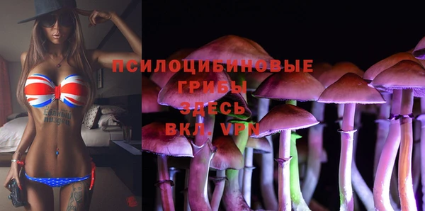 ПСИЛОЦИБИНОВЫЕ ГРИБЫ Армянск