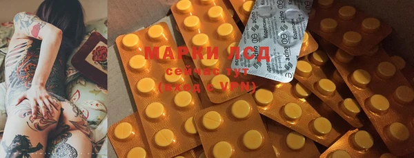 прущие крисы Арсеньев