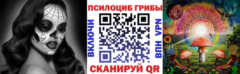 Псилоцибиновые грибы GOLDEN TEACHER  Опочка 